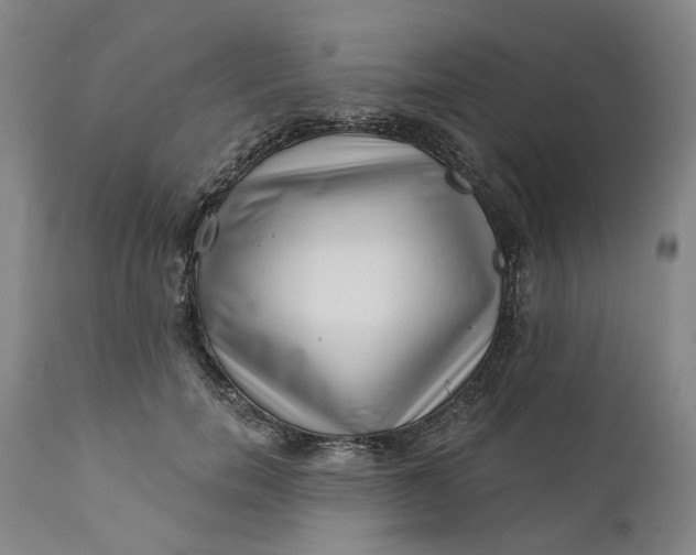 X0000112160750200908281403