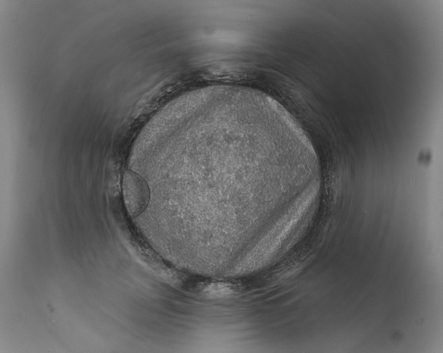 X0000112160751200908281403