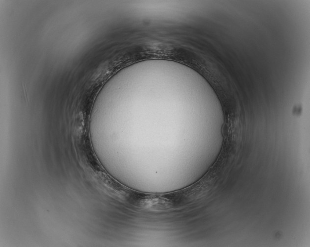 X0000112160752200908281403