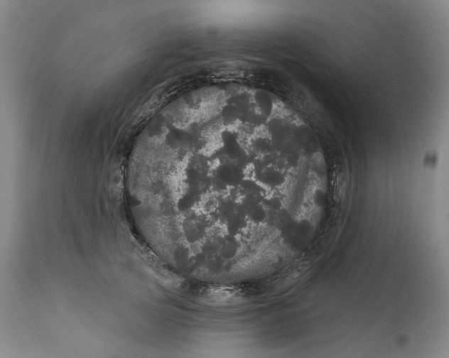 X0000112160753200908281403