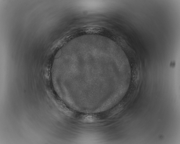 X0000112160755200908281403