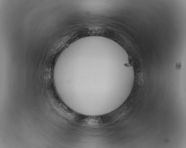 X0000112160756200908281403