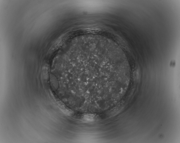 X0000112160757200908281403