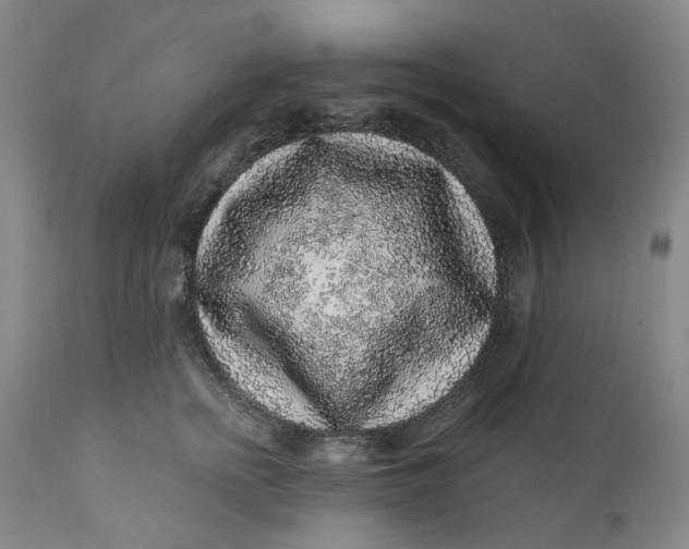 X0000112160758200908281403