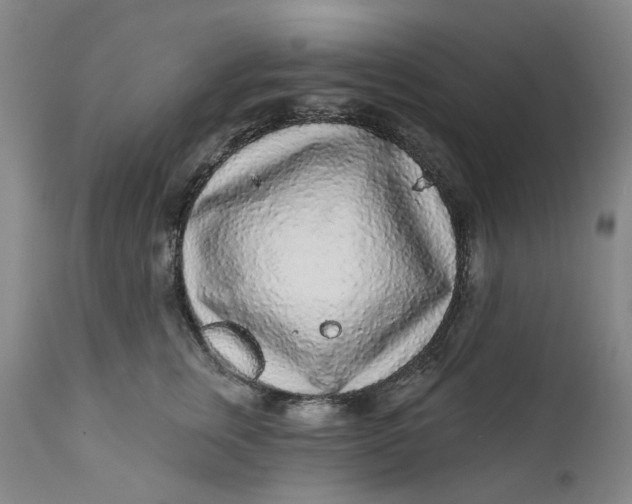 X0000112160759200908281403