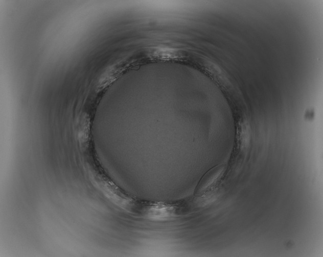 X0000112160760200908281403