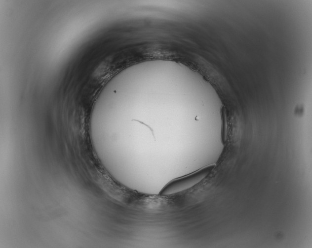 X0000112160762200908281403