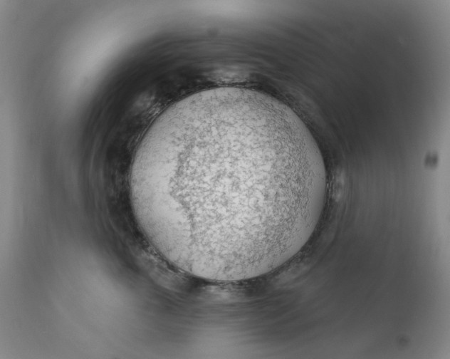 X0000112160763200908281404