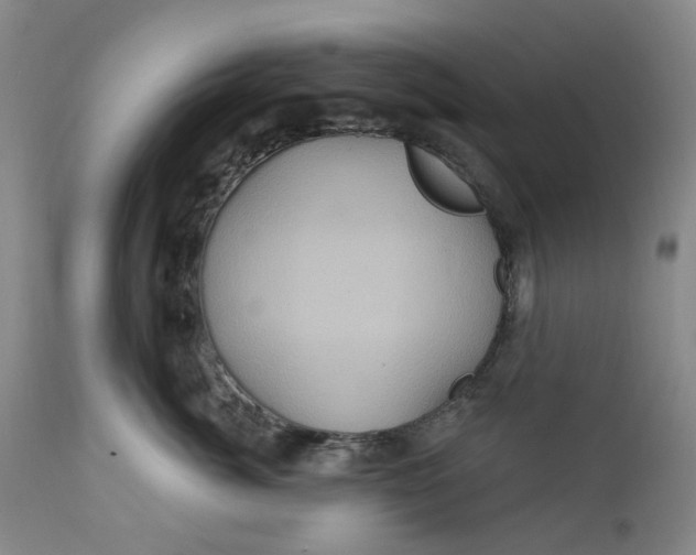 X0000112160764200908281404