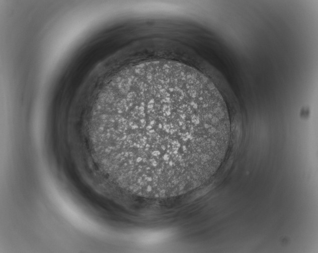 X0000112160765200908281404