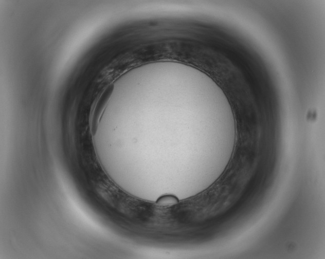 X0000112160766200908281404