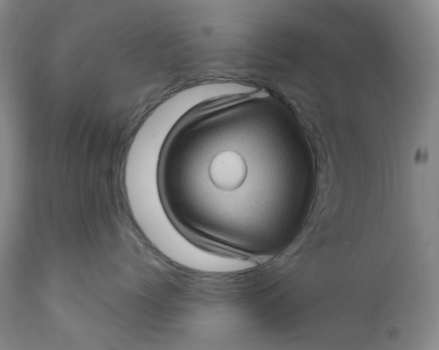 X0000112160768200908281404