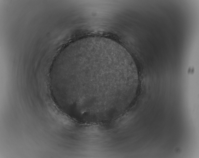 X0000112160769200908281403