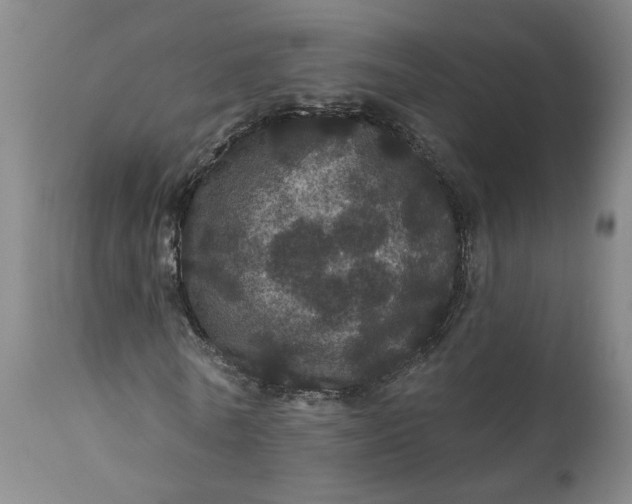 X0000112160770200908281403