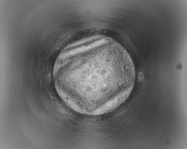 X0000112160771200908281403