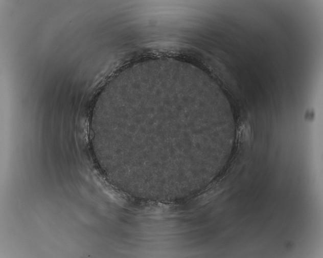 X0000112160772200908281403