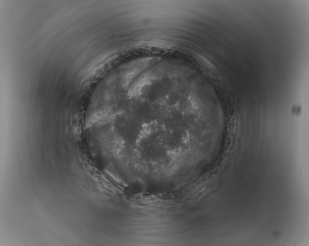 X0000112160774200908281403