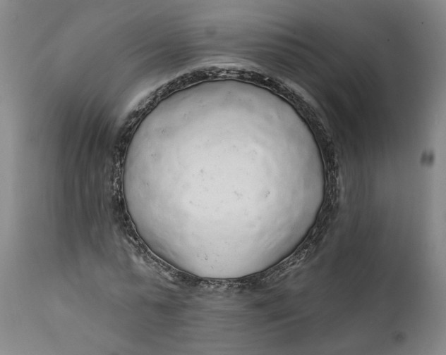 X0000112160775200908281403