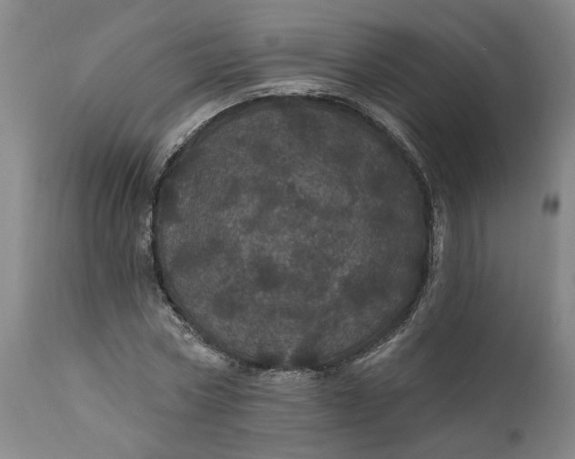 X0000112160778200908281403