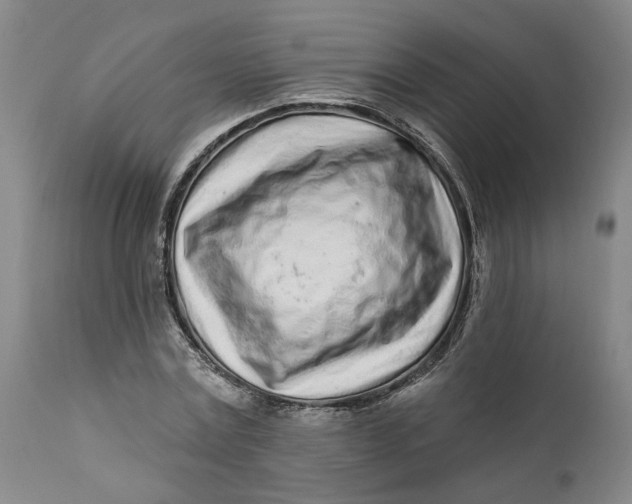 X0000112160779200908281403