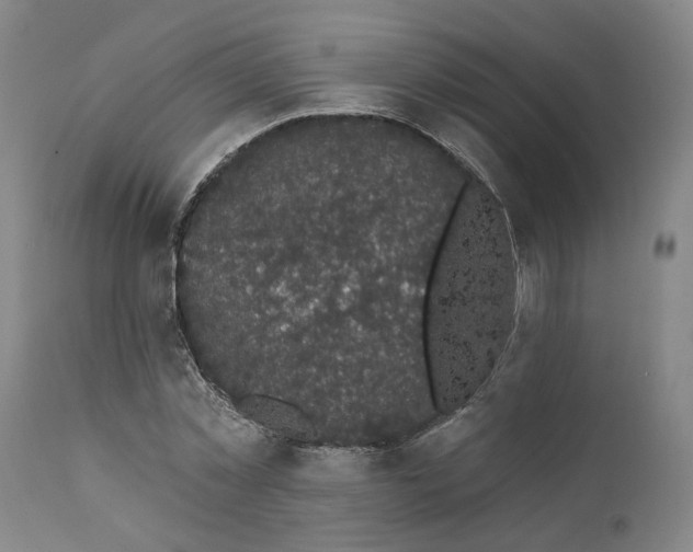 X0000112160781200908281403