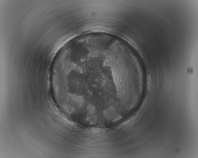 X0000112160782200908281403