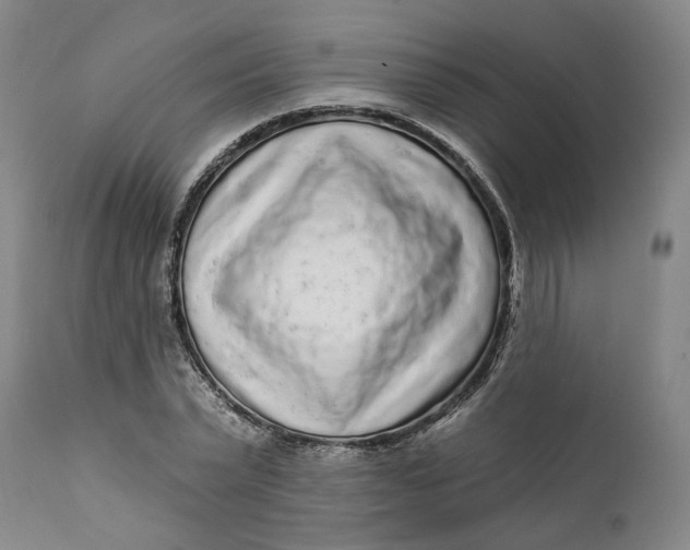 X0000112160783200908281403