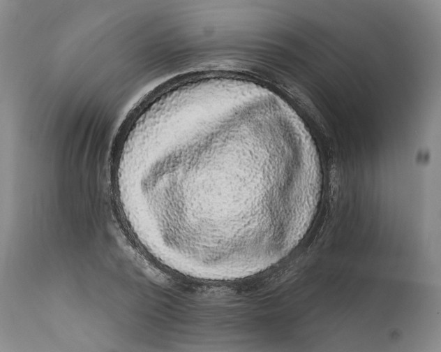 X0000112160784200908281403