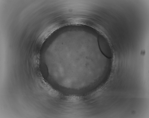 X0000112160785200908281403