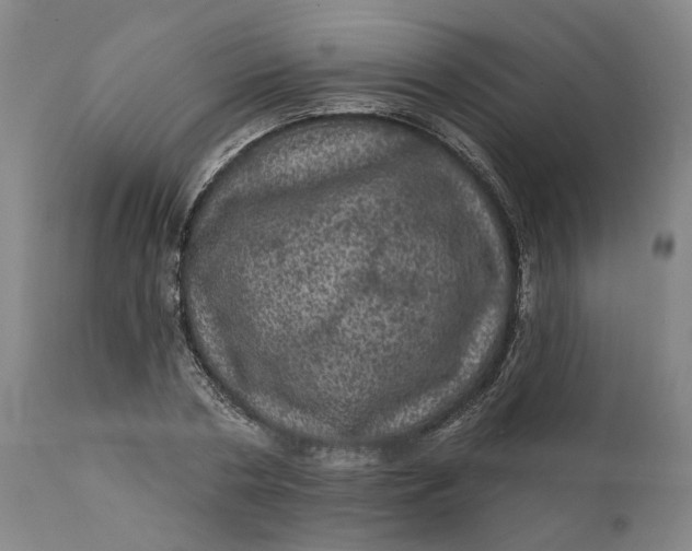 X0000112160786200908281403