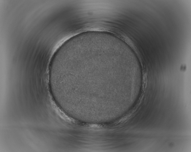 X0000112160787200908281403