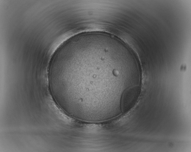 X0000112160789200908281403