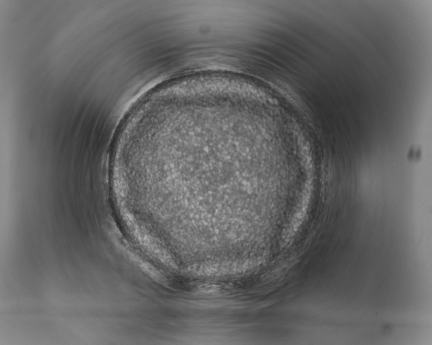 X0000112160790200908281403