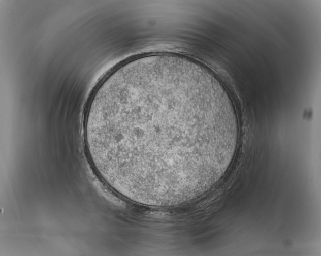 X0000112160792200908281403