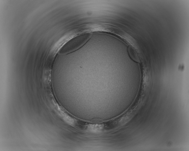 X0000112160793200908281403