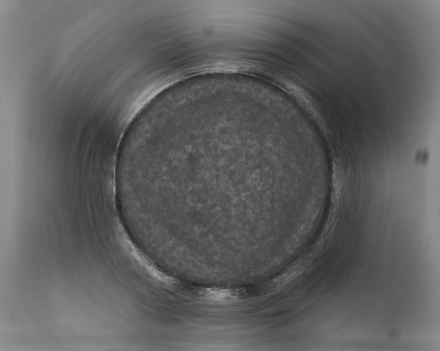 X0000112160794200908281403