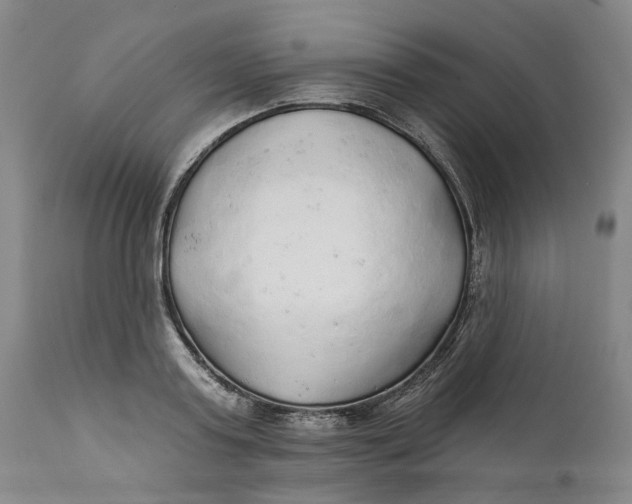 X0000112160795200908281403