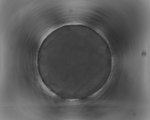 X0000112160797200908281402