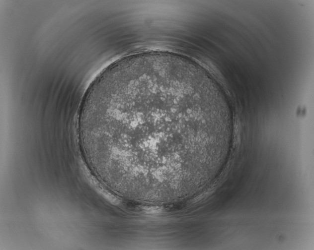 X0000112160798200908281402