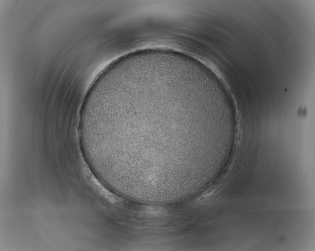 X0000112160799200908281402