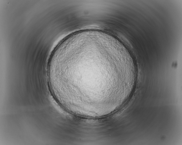 X0000112160800200908281402