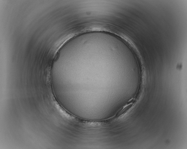 X0000112160801200908281402