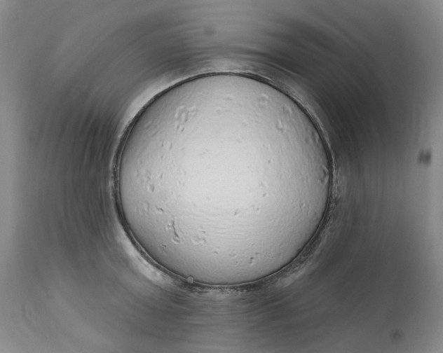 X0000112160803200908281402