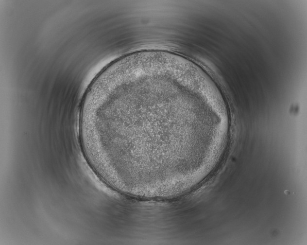 X0000112160804200908281402