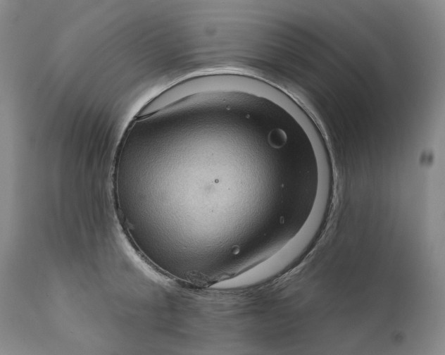 X0000112160805200908281402