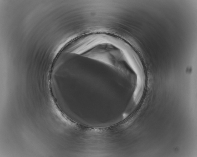 X0000112160806200908281402