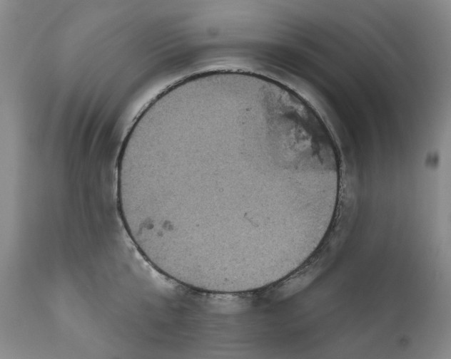 X0000112160807200908281402