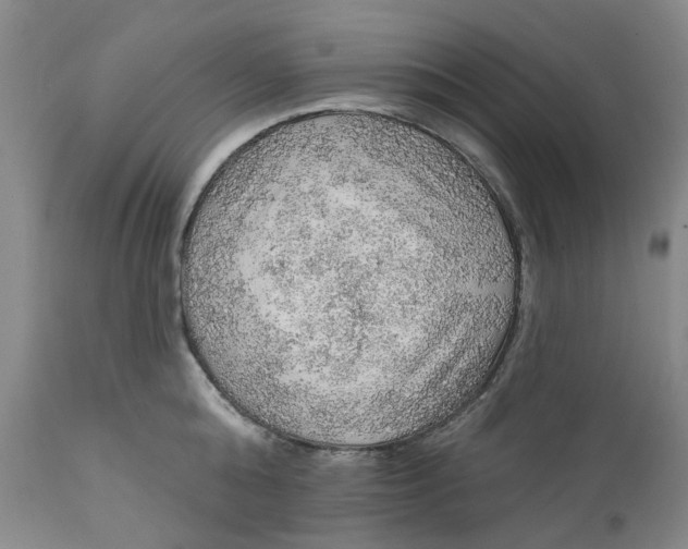 X0000112160808200908281402