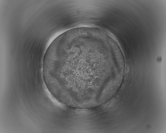 X0000112160811200908281402