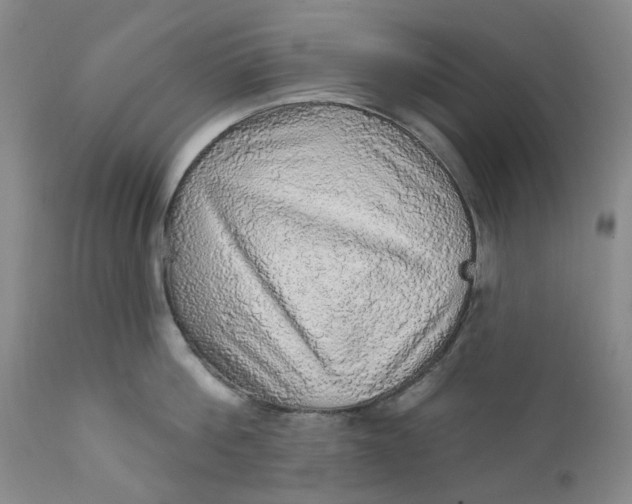 X0000112160812200908281402